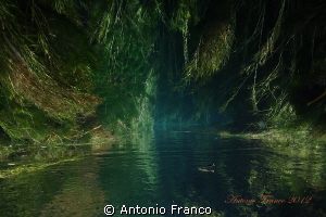 Upside view of Chidro river by Antonio Franco 